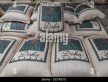 Sacchetti di chicchi di caffè Costa Rica pronti per la spedizione. Foto Stock