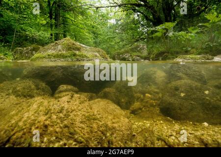 Corso d'acqua di Orbe nel Giura di Vaud Foto Stock
