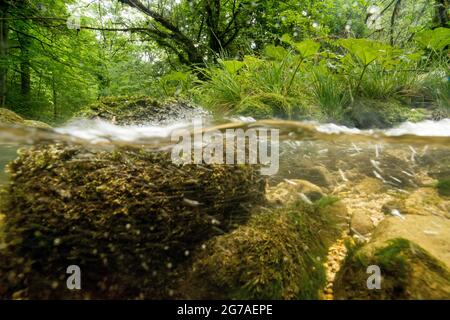 Corso d'acqua di Orbe nel Giura di Vaud Foto Stock