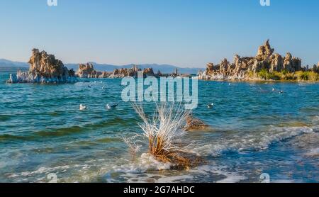 Lago di Mono, California, Stati Uniti, Foto Stock