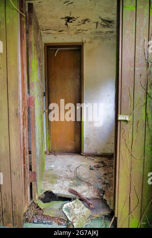 Interno sporco di una vecchia casa nello stato di Washinton con viti e peeling vernice Foto Stock