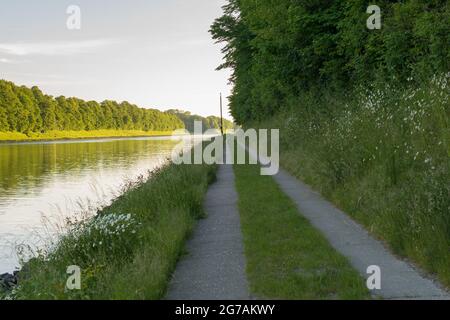 Luce serale sul canale Kiel a Landwehr, Germania. Foto Stock