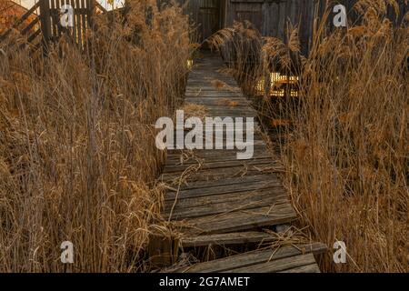 Lakeshore a Dießen am Ammersee, Landsberg / Lech distretto, alta Baviera, Baviera, Germania, Europa Foto Stock