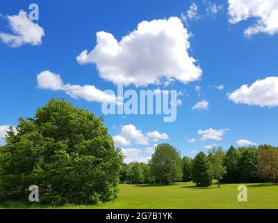 Cielo blu con nuvole su paesaggio verde Foto Stock