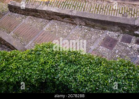 Vista ad alto angolo di un vicolo a gradinata nella zona medievale di Campopisano nel centro storico di Genova, Liguria, Italia Foto Stock