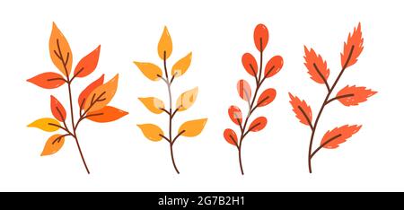 Set di ramoscelli autunnali con foglie gialle e rosse isolate su sfondo bianco. Illustrazione vettoriale disegnata a mano in stile piano cartoon. Perfetto per il vostro pr Illustrazione Vettoriale