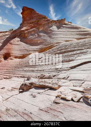 Navajo Sandstone, Kanab Canyon, Utah, Stati Uniti, Foto Stock