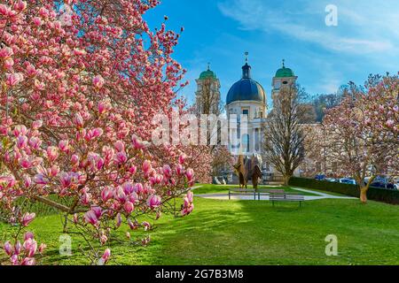 Austria, Salisburgo, Makartplatz in primavera con la Chiesa della Trinità e gli alberi in fiore Foto Stock