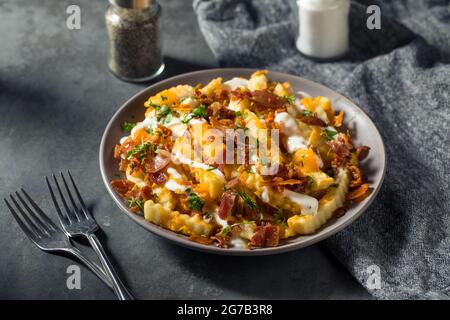 Bacon Cheddar Ranch fatto in casa ha caricato French Fries pronti a mangiare Foto Stock