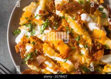 Bacon Cheddar Ranch fatto in casa ha caricato French Fries pronti a mangiare Foto Stock