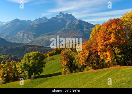 Autunno nel Chablais svizzero, dietro le cime dei Dents du Midi, Villars-sur-Ollon, Vaud, Svizzera Foto Stock