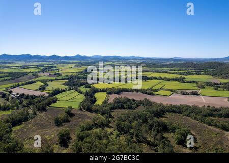 Vista aerea dei paddock della canna da zucchero in lontananza formando un modello verde di agricoltura, Mackay Queensland, Australia Foto Stock