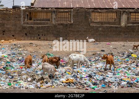 Spazzatura per le strade di Bauchi, Nigeria orientale Foto Stock