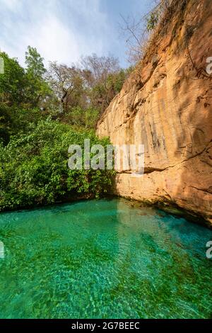 Turchesi Wikki sorgenti calde, Parco Nazionale di Yankari, Nigeria orientale Foto Stock