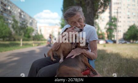 Donna anziana di 90 anni con capelli grigi e profonde rughe si siede all'aperto in una struttura di vita assistita su panca con piccolo cane dachshund. Vecchi abbracci femminili Foto Stock