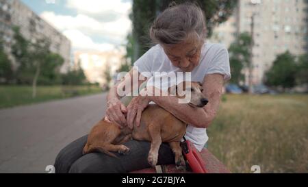 Felice donna anziana tiene un piccolo cane dachshund tra le braccia, sorride abbracci, preme e mostra l'amore per il suo animale domestico su una panchina nel parco. Femmina di 90 anni Foto Stock