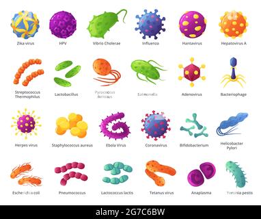 Microbo cartoon. Microrganismi biologici, cellule virali, batteri infettanti. Organismi patogeni e causando microbi malattia serie vettoriale. Influenza pericolosa, malattia epidemica Illustrazione Vettoriale