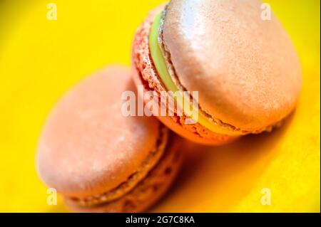 Macaron aromatizzati allo zafferano su sfondo giallo. Realizzato da Les Macarons de PIM! Foto Stock