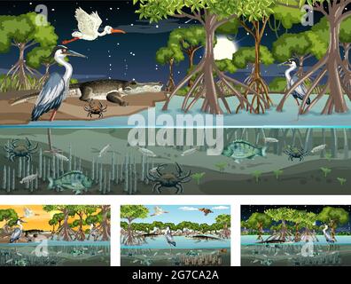 Diverse scene di paesaggio boschivo mangrovie con animali illustrazione Illustrazione Vettoriale