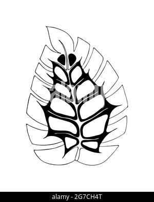 Monstera Doodling. Foglio decorativo, contorno mano disegnando contorno nero. Sfondo bianco, isolato. Per decorazione, design. Illustrazione vettoriale Illustrazione Vettoriale