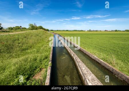 Due piccoli canali d'irrigazione in cemento in ambiente rurale, pianura Padana o valle del po (Pianura Padana). Provincia di Mantova, Italia, Europa meridionale. Foto Stock