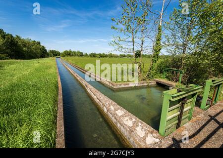 Due piccoli canali d'irrigazione in cemento in ambiente rurale, pianura Padana o valle del po (Pianura Padana). Provincia di Mantova, Italia, Europa meridionale. Foto Stock