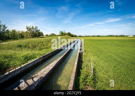 Due piccoli canali d'irrigazione in cemento in ambiente rurale, pianura Padana o valle del po (Pianura Padana). Provincia di Mantova, Italia, Europa meridionale. Foto Stock