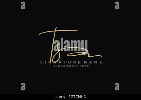 TS Letter Signature Logo Template elegante logo Logo simbolo modello simbolo icona vettoriale Illustrazione Vettoriale
