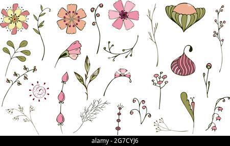 Set di foglie, fiori e ramoscelli in stile doodling, disegno esclusivo fatto a mano. Illustrazione vettoriale Illustrazione Vettoriale