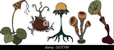 Set di favolose piante e fiori inesistenti in uno stile cupo, noodling, disegno a mano. Illustrazione vettoriale Illustrazione Vettoriale