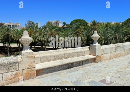 Una vista sulle palme da un vecchio ponte nel Jardin del Turia, Valencia. Foto Stock