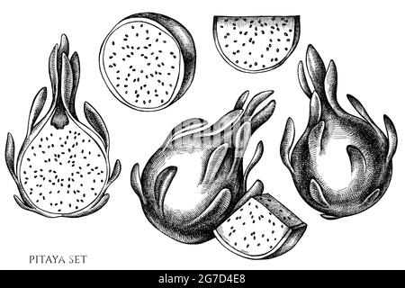 Set vettoriale di pitaya bianco e nero disegnati a mano Illustrazione Vettoriale