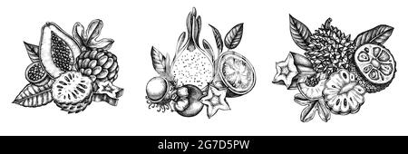 Composizione di papaia bianca e nera, guava, frutto della passione, starfruit, durian, rambutan, pitaya, jackfruit, zucchero-mela, soursop, mangosteen Illustrazione Vettoriale