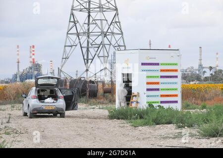La prima alveare autonoma della Terra di Beewise. BEEHOUSAND È UN DISPOSITIVO CHE OSPITA 24 COLONIE, CONSENTENDO AGLI APICOLTORI DI TRATTARE A DISTANZA I LORO ALVEARI E LA CURA PER Foto Stock