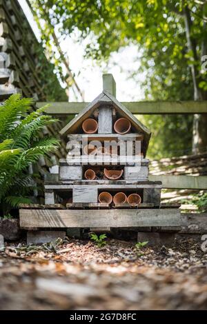 Casa fatto selvaggio bug casa in legno per insetti e conservazione ecologica. Piantare pentole, tronchi e foglie creando bug hotel estate bosco ambiente. Foto Stock