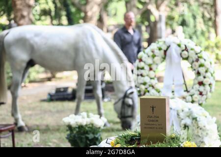 13 luglio 2021, Ungheria, Budapest: Un cavallo bianco pascola accanto all'urna nella tomba d'onore al cimitero di Kerepesch durante la sepoltura dell'urna di Hollywood Diva Zsa Zsa Gabor. Più di quattro anni dopo la sua morte, il Principe aveva portato l'urna di Zsa Gabor dagli Stati Uniti a Budapest. Foto: Csaba Doemoetoer/dpa Foto Stock