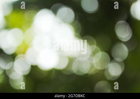 Sfocatura dell'immagine di sfondo Foto Stock