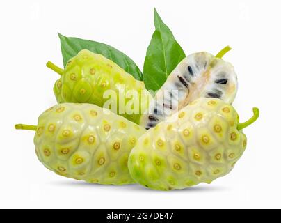 morinda frutta isolato su sfondo bianco Foto Stock