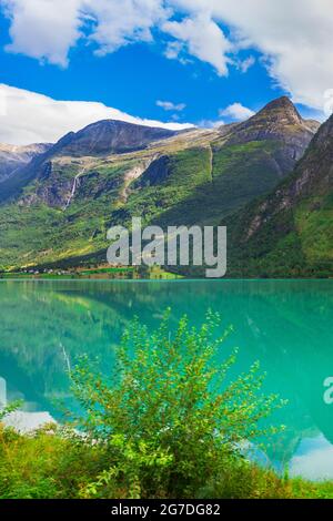 Paesaggio fiordo norvegese con il Nordfjord, cascate di montagna, albero a Olden, Norvegia Foto Stock