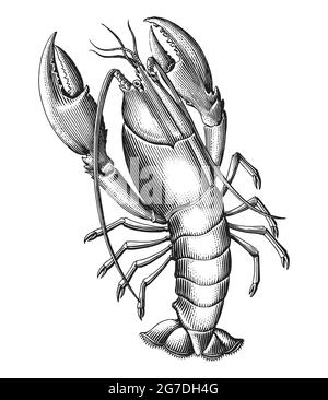 Lobster mano disegna incisione vintage stile clip art bianco e nero isolato su sfondo bianco Illustrazione Vettoriale