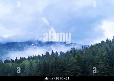 Montagne e foreste in nuvole e nebbia. Foto Stock