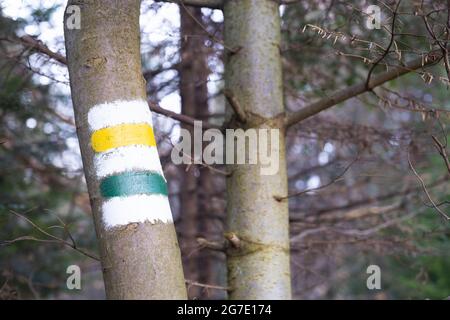 Segnando il percorso turistico dipinto sull'albero. Segnale del percorso di viaggio. Foto Stock