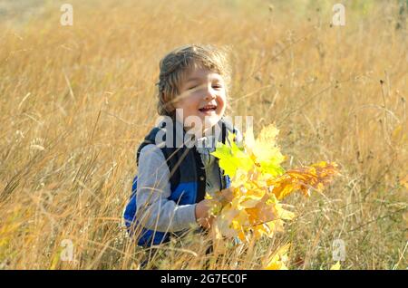 piccolo ragazzo con foglie autunnali all'aperto Foto Stock