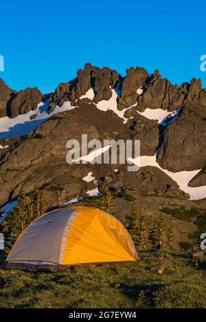 Tenda in un prato alto vicino a Marmot Pass nel Buckhorn Wilderness, Olympic National Forest, Olympic Mountains, Washington state, USA Foto Stock
