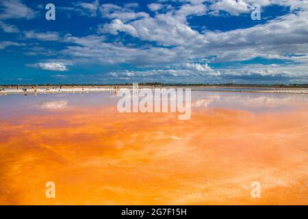 Phetchaburi sale appartamenti Naklua, aziende agricole e agricoltori raccolta di sale a Phetchaburi, Thailandia Foto Stock