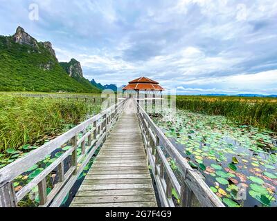 Sam Roi Yot Freshwater Marsh, passeggiata sulla palude, Bueng Bua Wood Boardwalk nel parco nazionale Sam Roi Yot a Prachuap Khiri Khan, Thailandia Foto Stock