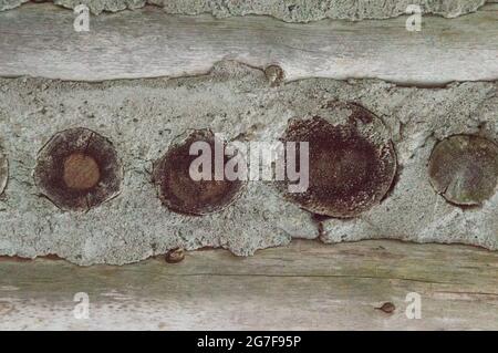 Questa vecchia capanna di legno pan di zenzero casa nei boschi è complicato e semplice. Vengono mostrate le pareti di legno del cordone stagionato. Foto Stock