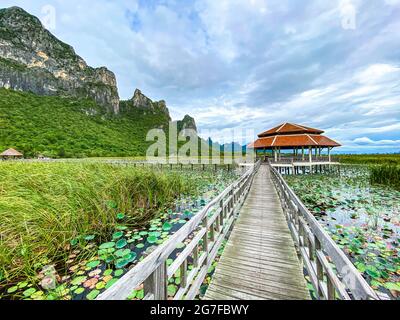 Sam Roi Yot Freshwater Marsh, passeggiata sulla palude, Bueng Bua Wood Boardwalk nel parco nazionale Sam Roi Yot a Prachuap Khiri Khan, Thailandia Foto Stock