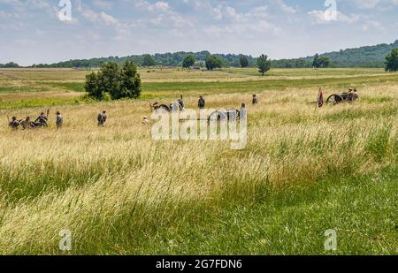 Gettysburg, PA, USA - 14 giugno 2008: Monumenti di Battlefield. Paesaggio con gruppi di maschi con cannone che arruolano scenari di guerra, ambientato in un'erba gialla beige Foto Stock