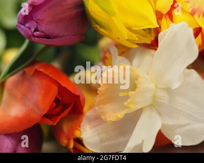 Primo piano fotografia di un bouquet di fiori Foto Stock